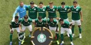بالميراس البرازيلي يتأهل لربع نهائي كأس العالم للأندية بالفوز على بوتافوجو البرازيلي بهدف نظيف - ترند نيوز